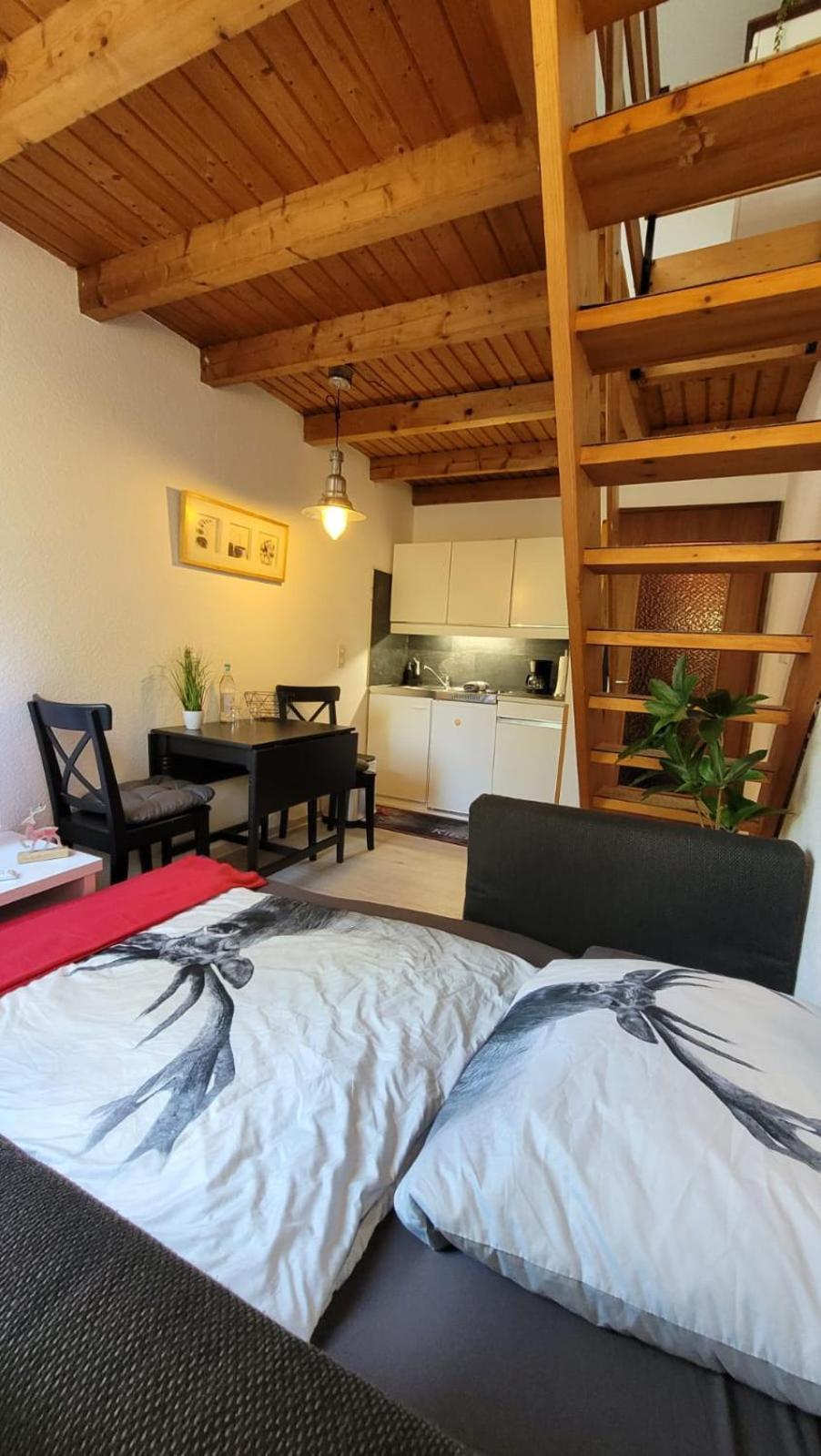 Berg-Buedchen - Schnuckelige Maisonette-Fewo - Gemuetlich Und Guenstig Sankt Andreasberg Exterior foto